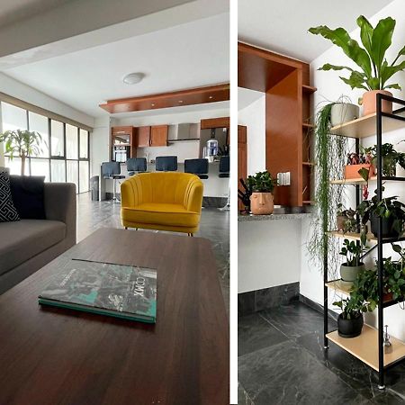 Great Apartment In The Heart Of Coyoacan Mexico City Luaran gambar