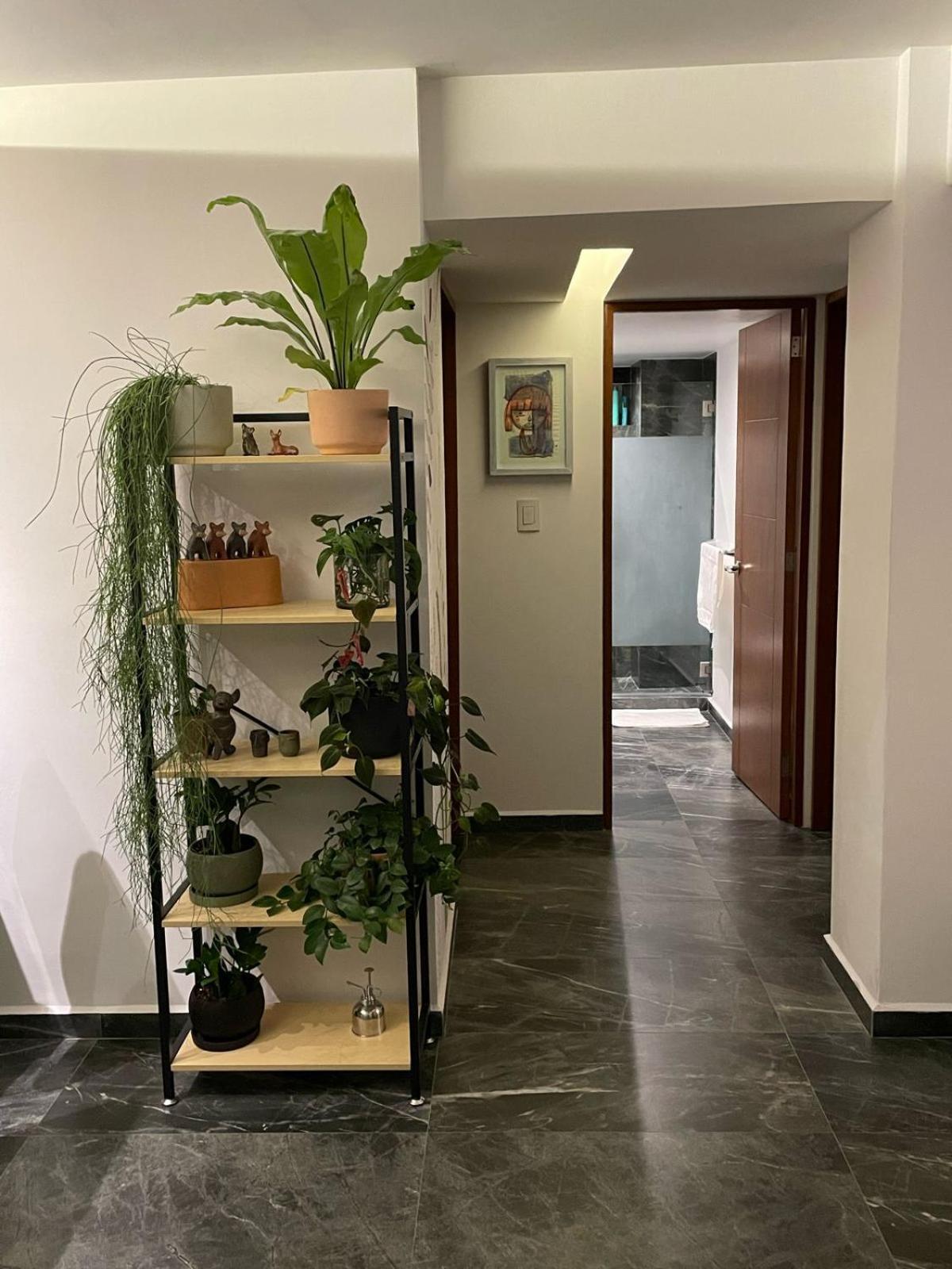 Great Apartment In The Heart Of Coyoacan Mexico City Luaran gambar