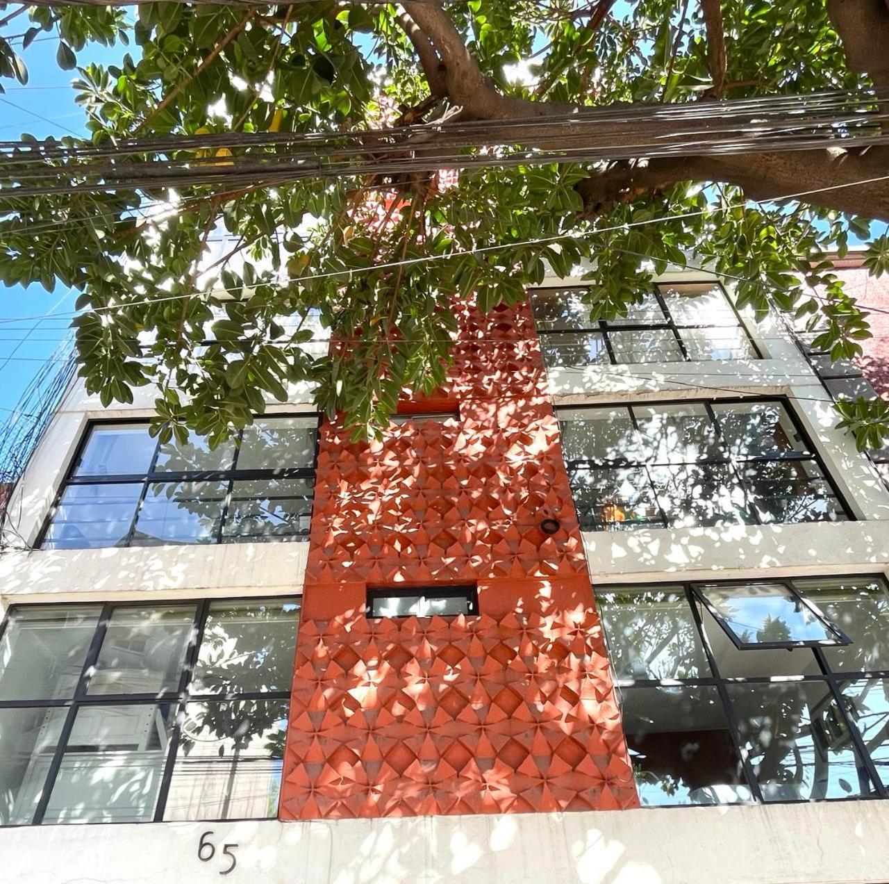 Great Apartment In The Heart Of Coyoacan Mexico City Luaran gambar